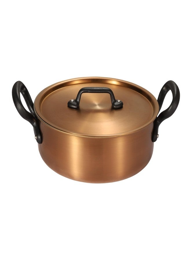 NUTRION Triply Stainless Steel Copper-Toned Non-Stick Cooking Pan with Lid, 2 Handles, 26 cm - Image 2